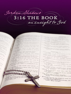 cover image of 3:16 the Book: an Insight to God